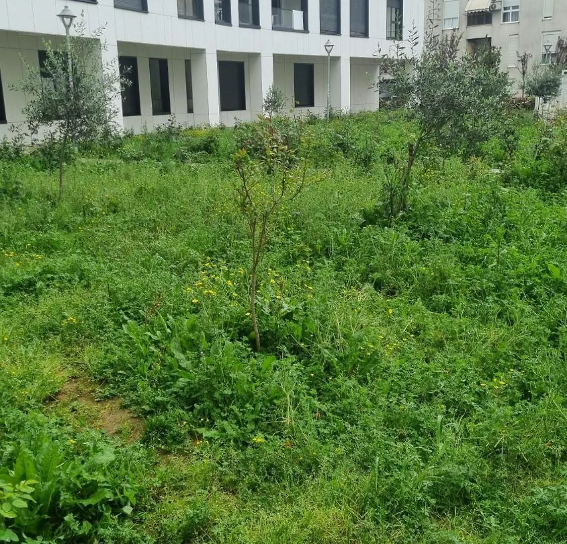 Odahousetirana Albania