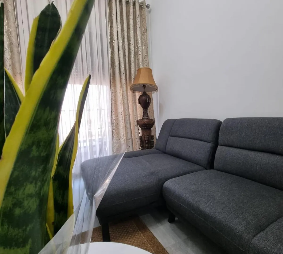 Odahousetirana 0*, Tirana Albania